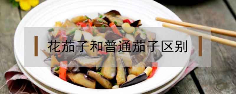花茄子和普通茄子区别 紫茄子和花茄子的区别