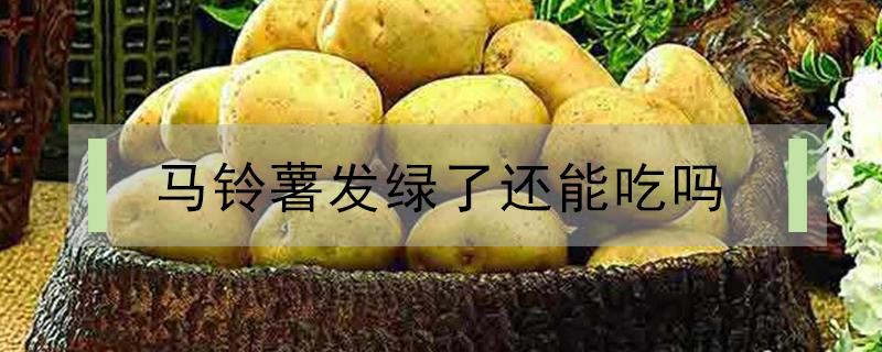 马铃薯发绿了还能吃吗 马铃薯发绿能不能吃