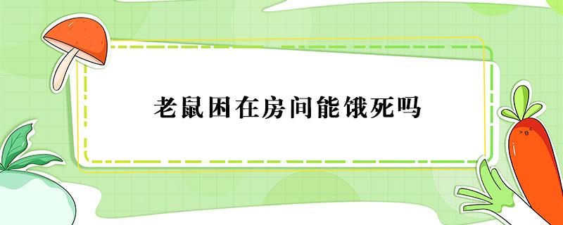 老鼠困在房间能饿死吗（屋里没吃的老鼠能饿死吗）