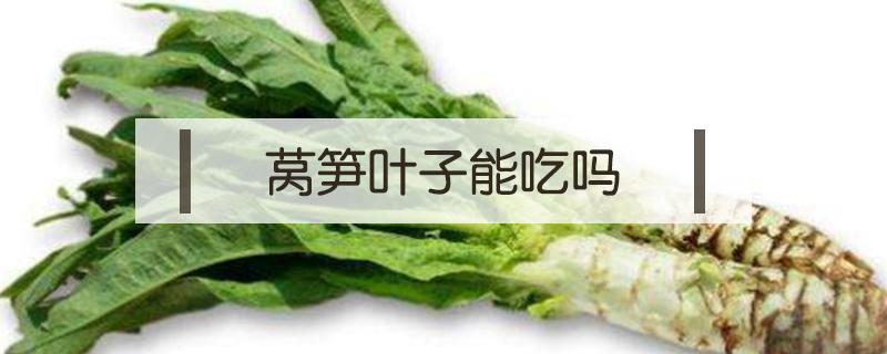 莴笋叶子能吃吗 莴笋叶子能吃吗?有什么好处