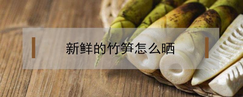 新鲜的竹笋怎么晒（新鲜的竹笋怎么晒干）