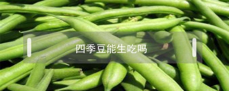 四季豆能生吃吗（四季豆能不能吃生的）