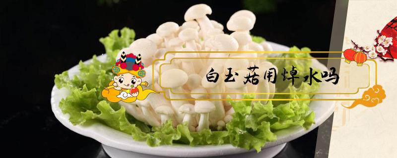 白玉菇用焯水吗 白玉菇用焯水吗?