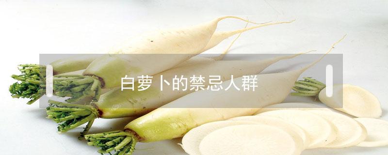 白萝卜的禁忌人群（白萝卜不宜人群）