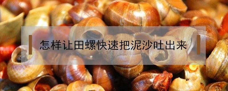 怎样让田螺快速把泥沙吐出来 想要田螺把它里面的泥沙吐出来该怎么办