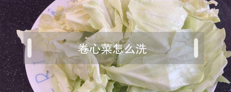 卷心菜怎么洗 卷心菜怎么洗最好