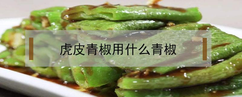 虎皮青椒用什么青椒（虎皮青椒怎么做）