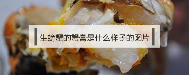 生螃蟹的蟹膏是什么样子的图片（生螃蟹的蟹膏是什么样子的图片视频）