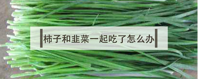 柿子和韭菜一起吃了怎么办(柿子和韭菜能吃在一起吗)