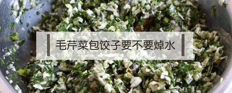 毛芹菜包饺子要不要焯水（毛芹包饺子需要过水吗）