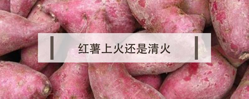 红薯上火还是清火（红薯是清火还是上火）