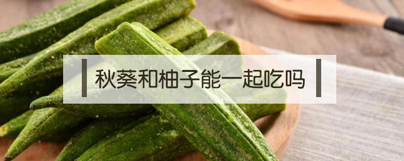 秋葵和柚子能一起吃吗（桂圆秋葵能一起吃吗）