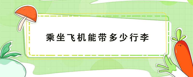 乘坐飞机能带多少行李（乘坐飞机能带多少行李 行李箱的重量算进去）