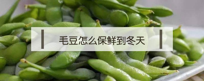 毛豆怎么保鲜到冬天（毛豆怎么保鲜到冬天吃）