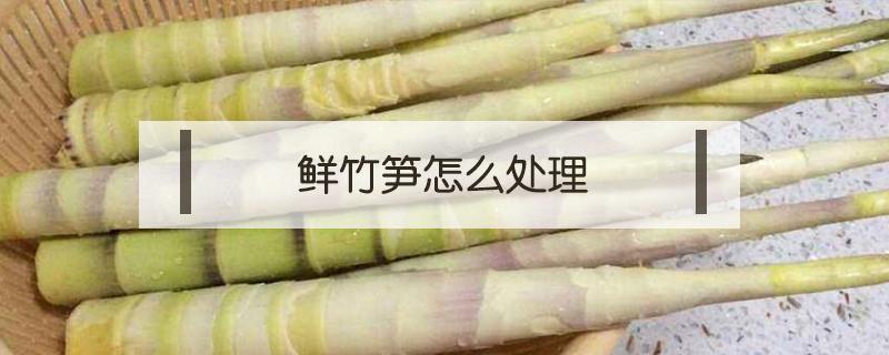 鲜竹笋怎么处理（鲜竹笋怎么处理才能吃）