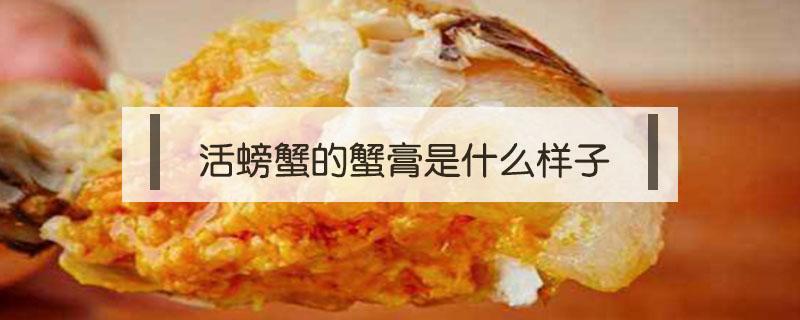 活螃蟹的蟹膏是什么样子（螃蟹的膏是什么东西）