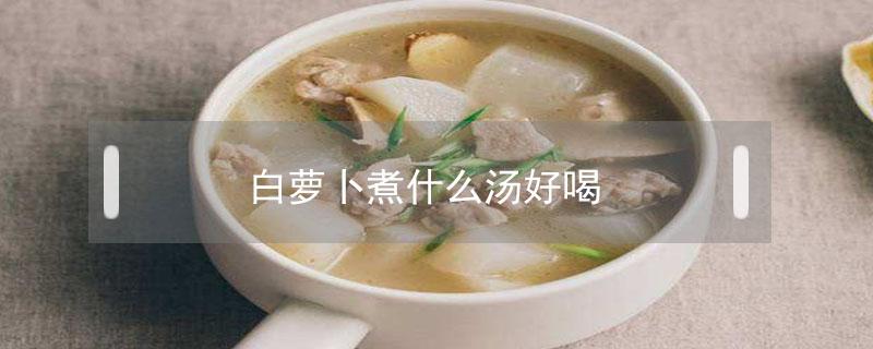 白萝卜煮什么汤好喝 白萝卜跟什么煮汤好喝
