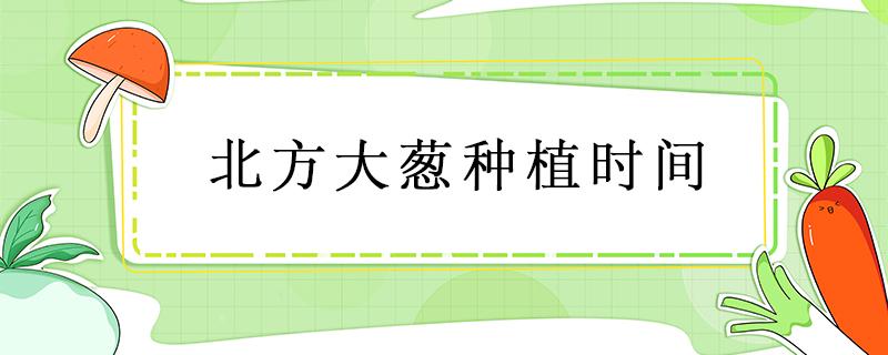 北方大葱种植时间（北方大葱种植时间和方法）