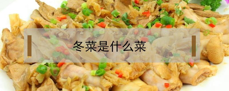 冬菜是什么菜 天津冬菜是什么菜