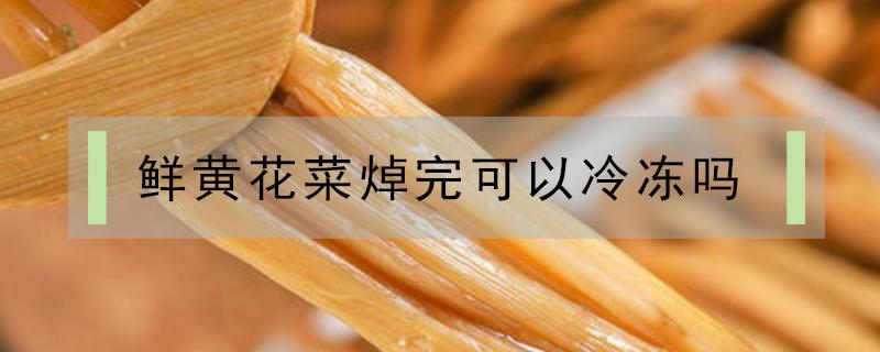 鲜黄花菜焯完可以冷冻吗 鲜黄花菜炒完冷冻后可以吃吗