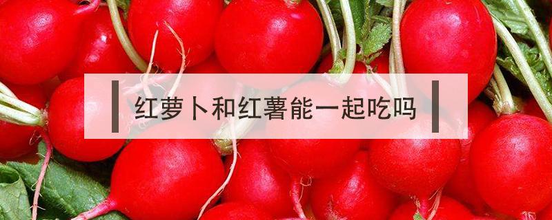 红萝卜和红薯能一起吃吗（请问红薯和红萝卜可以一起吃吗）