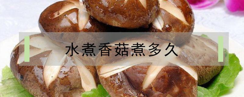 水煮香菇煮多久（水煮香菇煮多久能熟）