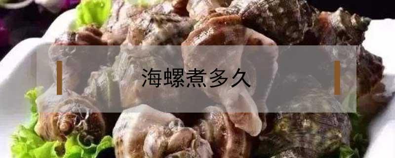 海螺煮多久（海螺煮多久多长时间最好吃）