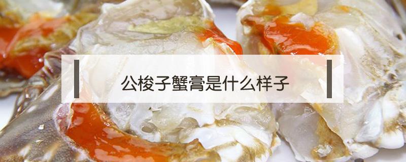 公梭子蟹膏是什么样子 公梭子蟹蟹膏是什么样的
