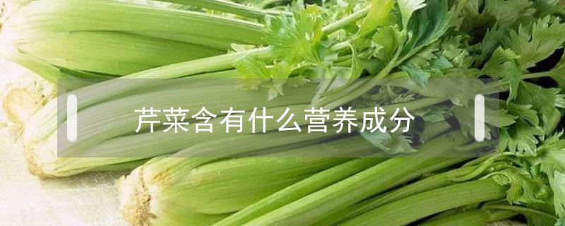 芹菜含有什么营养成分（芹菜营养成分）