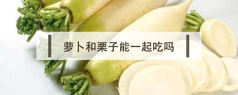 萝卜和栗子能一起吃吗（栗子能和萝卜一起吃吗?）
