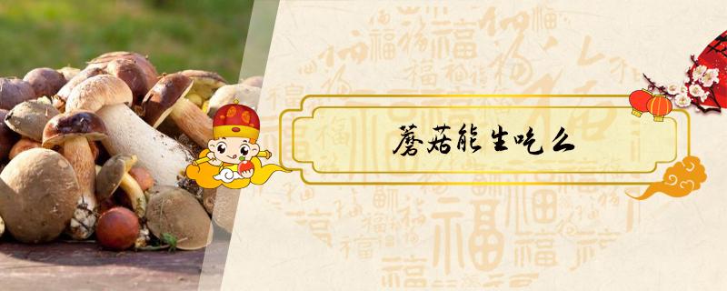 蘑菇能生吃么（蘑菇能不能生吃）