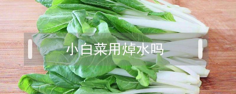小白菜用焯水吗 小白菜炖豆腐小白菜用焯水吗