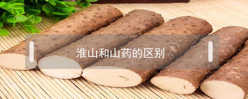 淮山和山药的区别 淮山和山药一样吗
