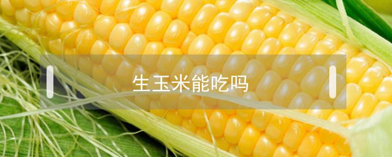 生玉米能吃吗 生玉米能吃吗宝宝