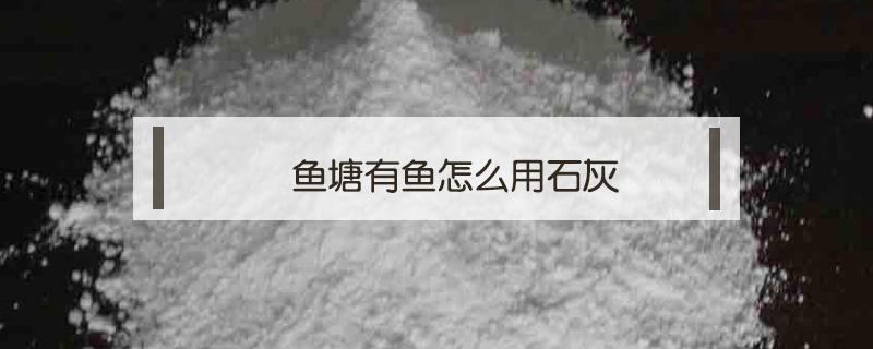 鱼塘有鱼怎么用石灰 鱼塘有鱼可以用石灰水吗