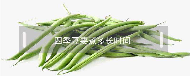 四季豆要煮多长时间 四季豆要煮多长时间才能去毒