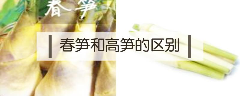 春笋和高笋的区别（高笋是笋类吗）
