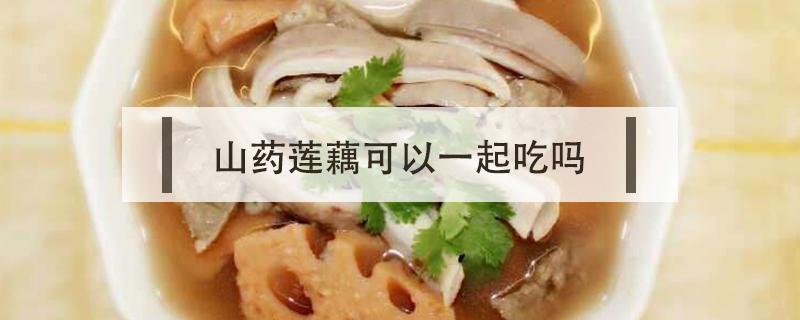 鸡肉和藕可以一起吃吗（鸡肉可以跟藕一起吃吗）