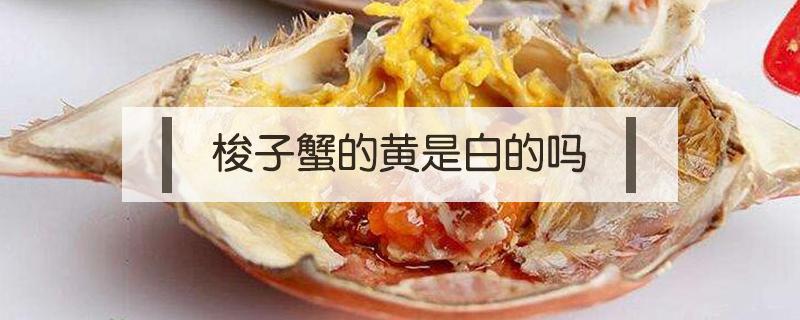 梭子蟹的黄是白的吗（梭子蟹白色的是什么）