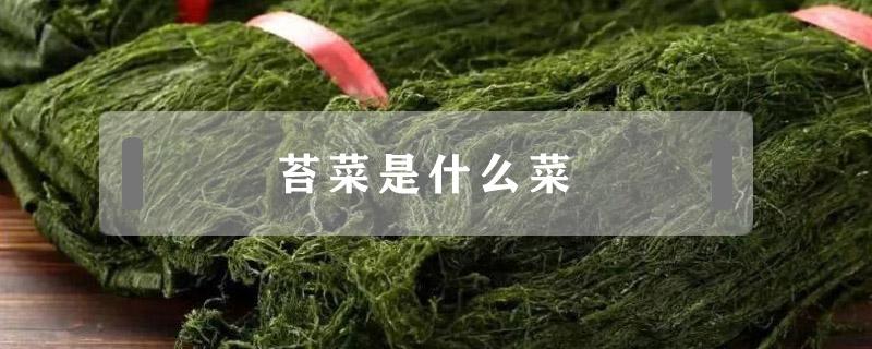 苔菜是什么菜（苔菜是什么菜做成的）