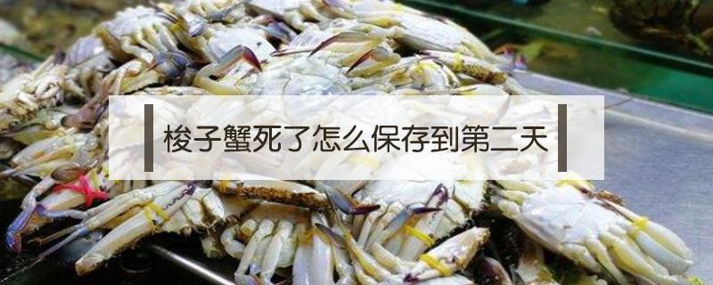 梭子蟹死了怎么保存到第二天（梭子蟹如何保存到第二天）