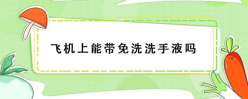 飞机上能带免洗洗手液吗（飞机可以带免洗洗手液吗?）