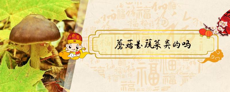 蘑菇是蔬菜类的吗(蘑菇和蔬菜的区别)