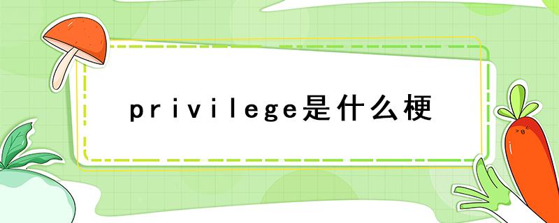 privilege是什么梗（说到privilege是什么梗）