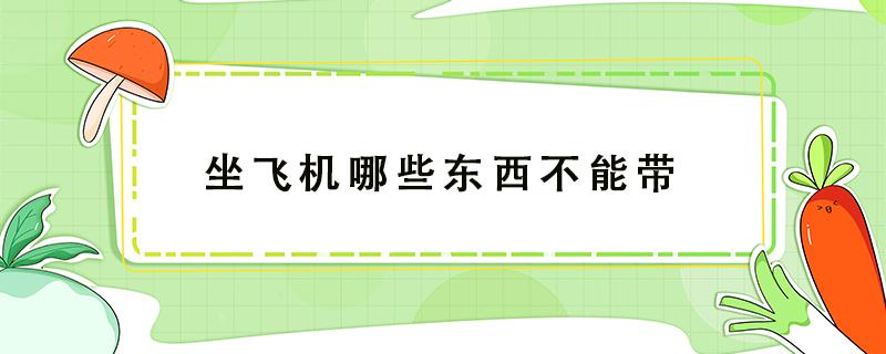 坐飞机哪些东西不能带（坐飞机哪些东西不能带,坐飞机的注意事项）