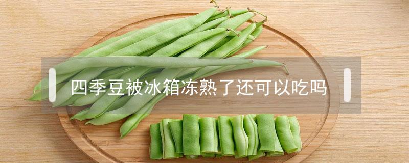四季豆被冰箱冻熟了还可以吃吗（四季豆被冰箱冻熟了还可以吃吗视频）