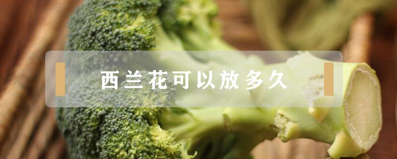 西兰花可以放多久 水煮过的西兰花可以放多久
