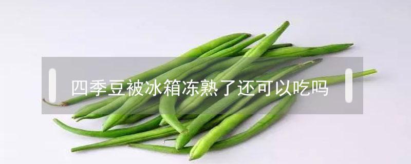 四季豆被霜冻了怎么办（四季豆被冻伤还能吃吗）