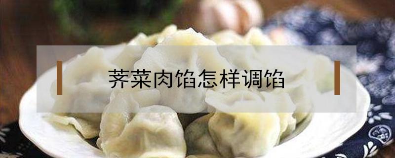 荠菜肉馅怎样调馅（荠菜肉馅怎样调馅有汁）
