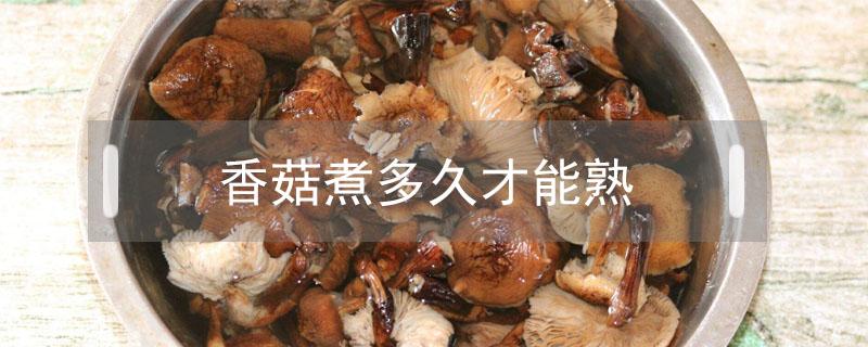 香菇煮多久才能熟(香菇煮多久才能熟透)